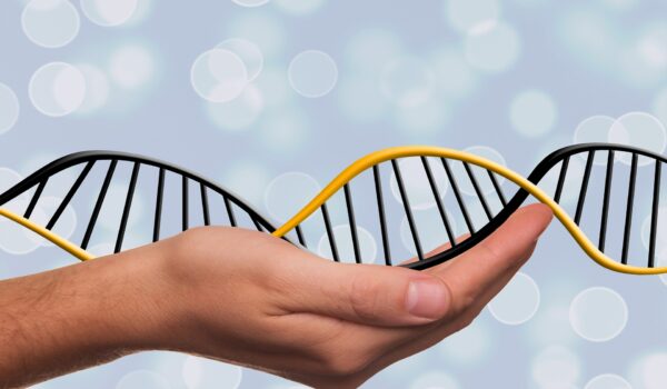 “Prevenzione della Sindrome di Klinefelter (SK) in età adolescenziale.