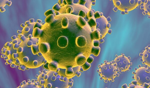 L’epidemia da Covid-19 dal 31 dicembre 2019 al 10 marzo 2020