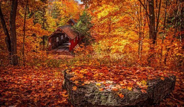 Un autunno col Coronavirus.