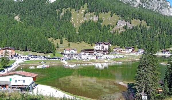 La foresta come cura per l’asma negli adolescenti