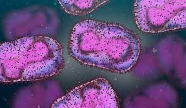 Sulla Rivista Italiana di Medicina dell’Adolescenza, Volume 21, n. 3, 2023, edizioni Scripta Manent, illavoro sul vaiolo delle scimmie in adolescenza: “Epidemia globale da Mpox e suo impatto sugliadolescenti”