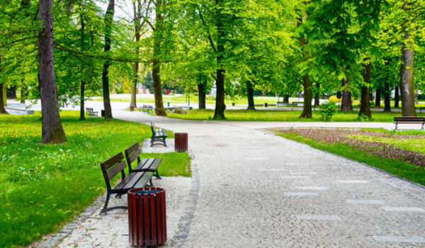 Guardare alberi e giardini in città riduce ansia e stress