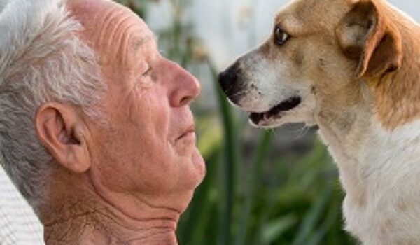Sei forme d’amore mappate nel cervello umano