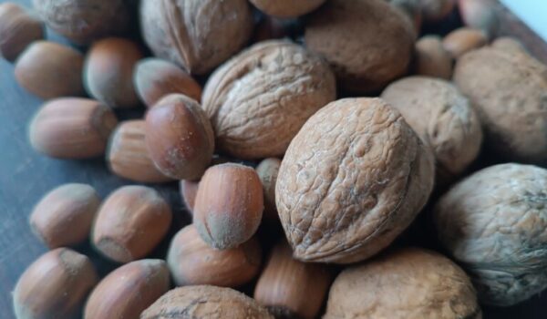 Frutta a guscio nella dieta