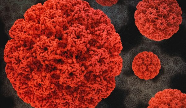 Hpv. Migliorate nel 2023 le coperture vaccinali ma l’obiettivo del 95% è ancora lontanissimo