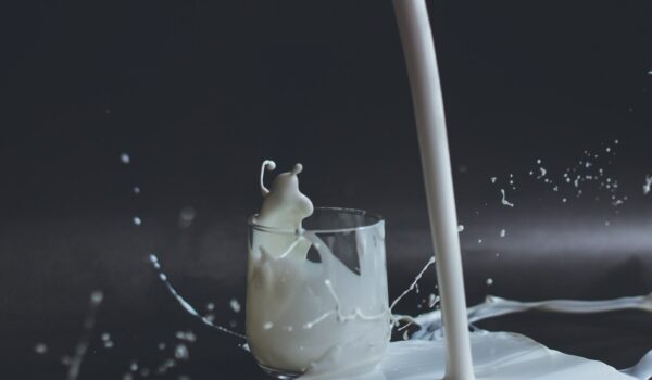 Il latte nell’alimentazione
