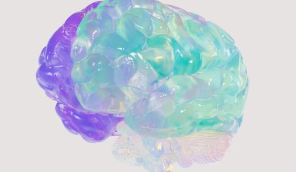 Epilessia refrattaria nei bambini e adolescenti, effetti di dieta cheto e lacosamide in combinazione