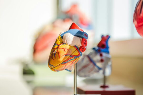 La Cardiologia guarda al futuro