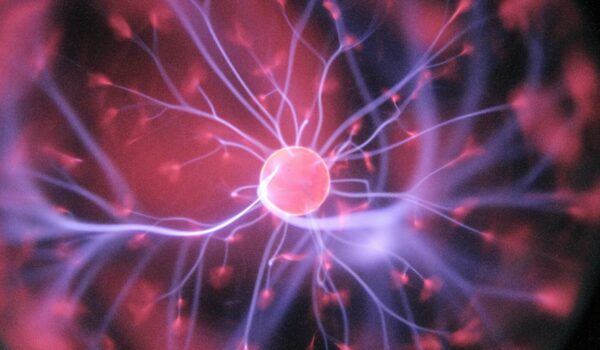 Ormone della crescita e cervello: evidenze sulla possibile rigenerazione neuronale