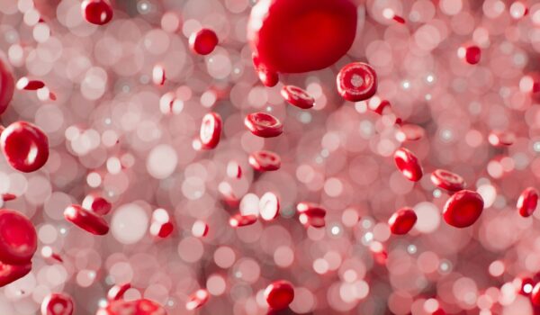 Infarto e diabete, una firma proteinomica nel sangue già a 8 anni
